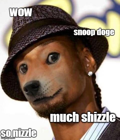 Snoop doge