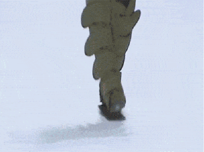 The next fashion trend?