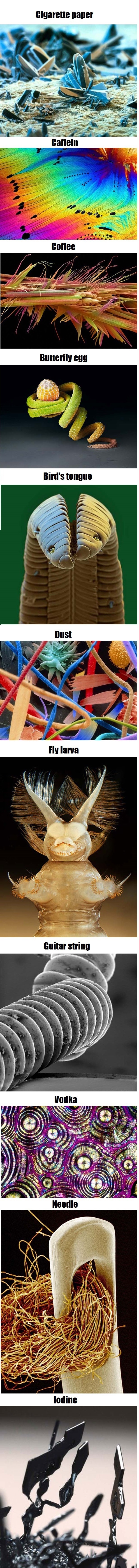 Stuff under a microscope