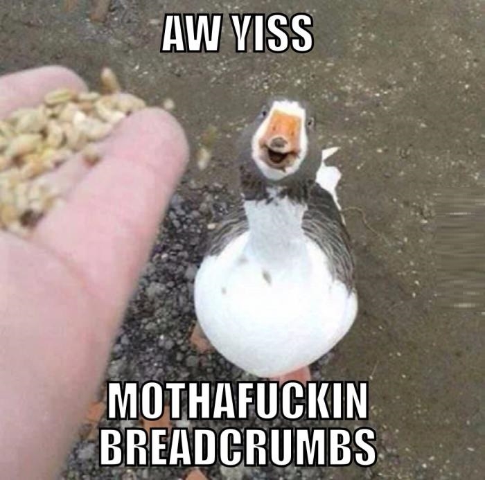 Aw yiss!