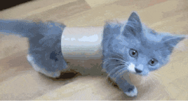 I've made a terrible mistake