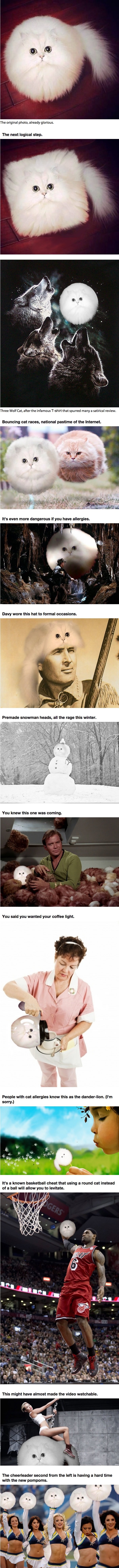 Hilarious photo edits