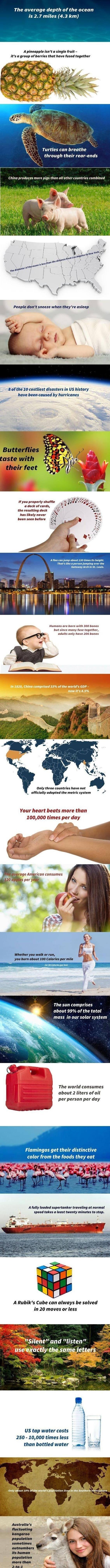 Some random facts