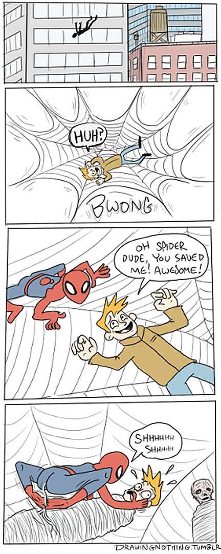 Spider Dude