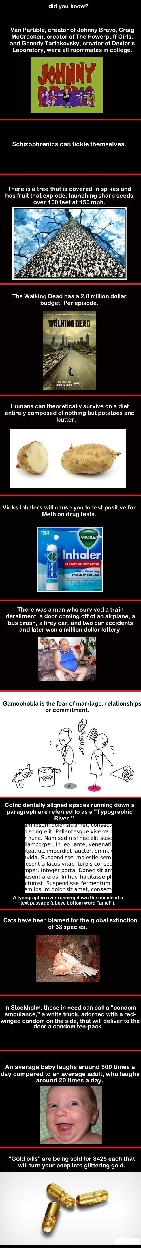 Unusual facts