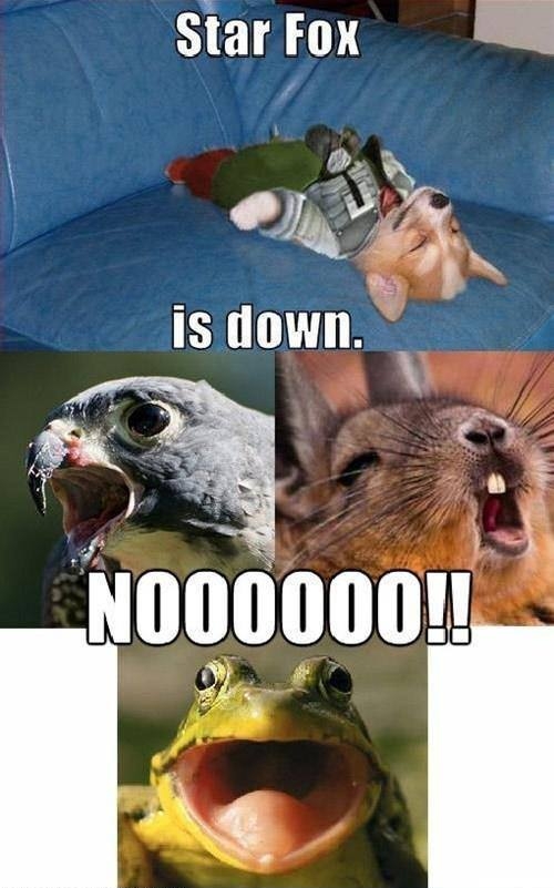 Star Fox is down!