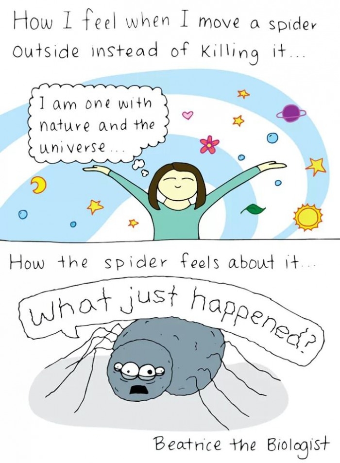 Spiders can relate