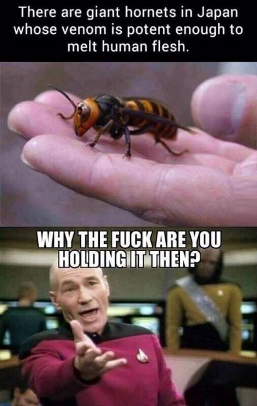 Strong point
