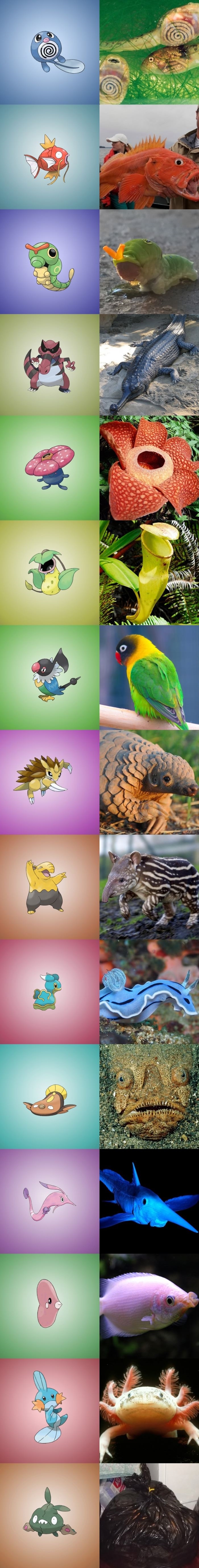 Real life Pokemon