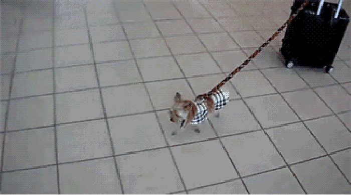 Just taking a little trip..