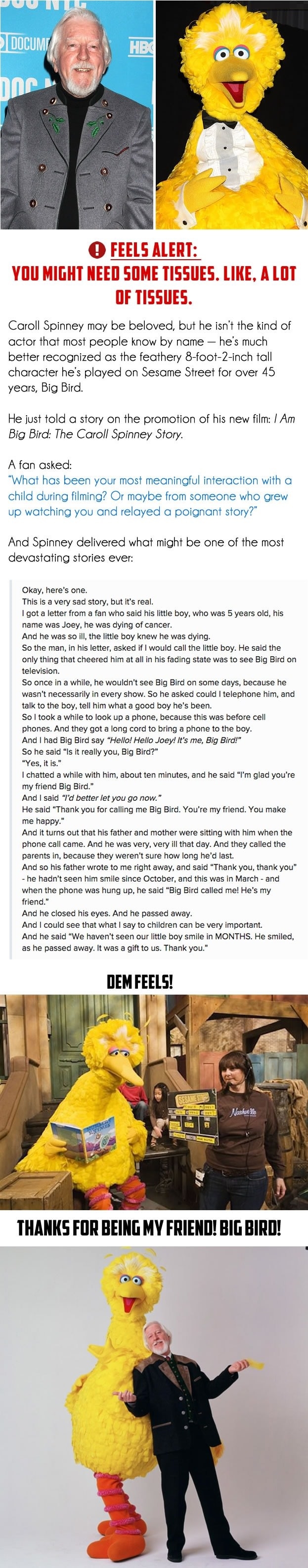 Big Bird just made me cry