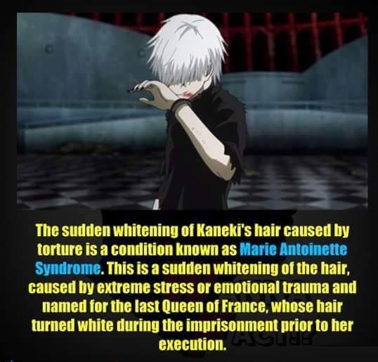 Kaneki's Hair
