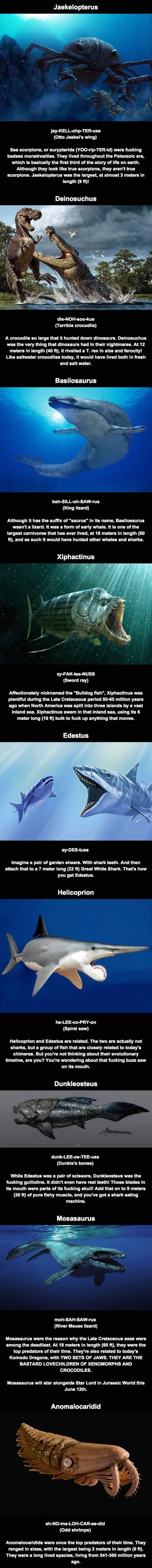 Prehistoric sea monsters