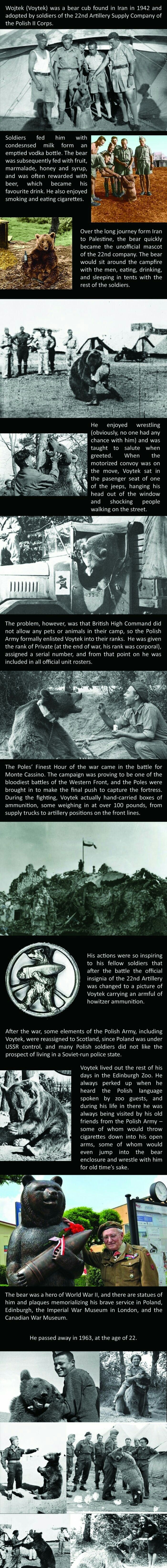 Best.Bear.Ever.