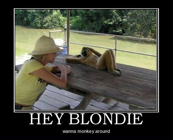 Hey Blondie