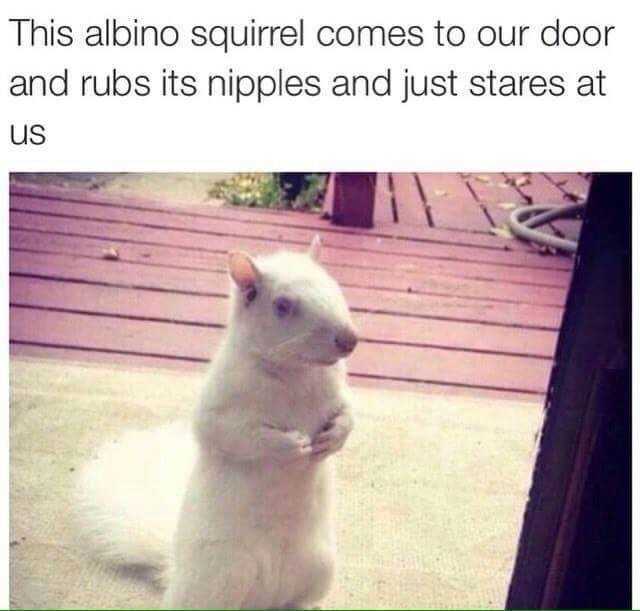 Creepy