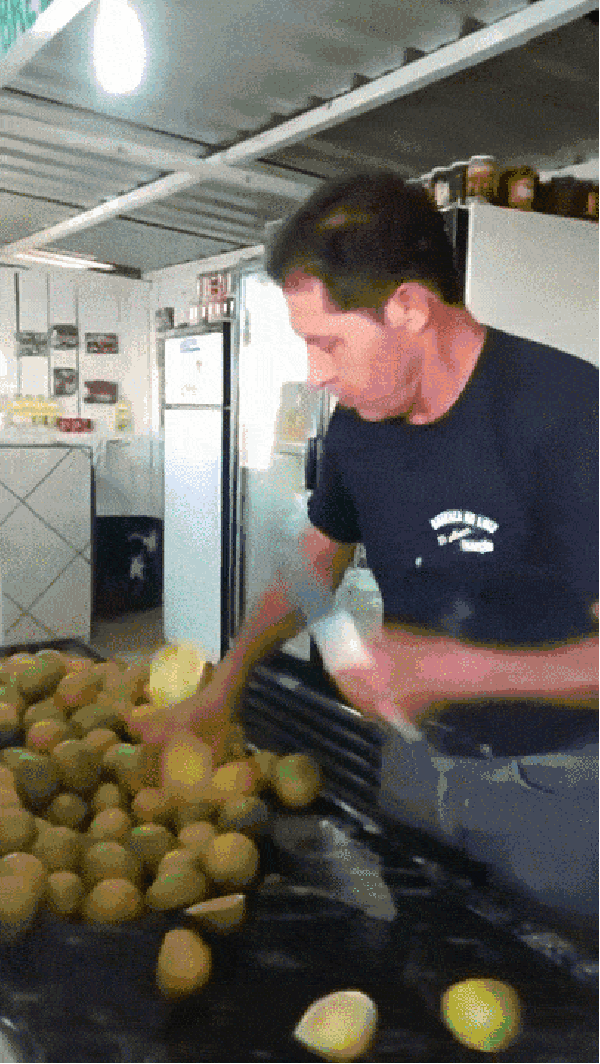 Lemon ninja