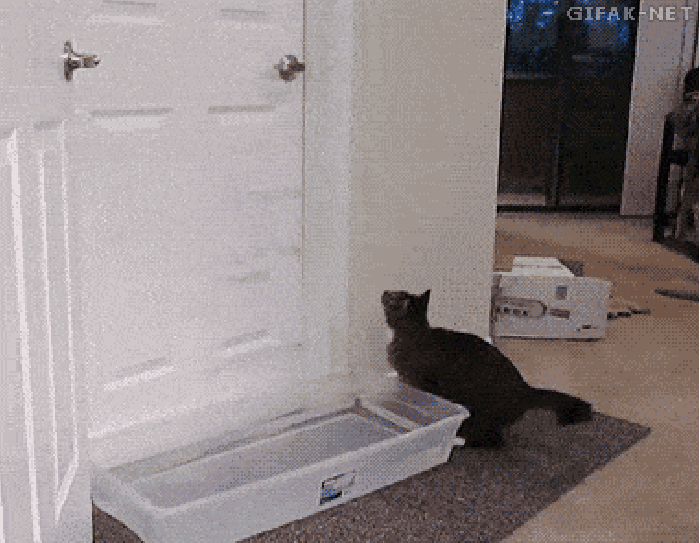 Let me in, man!