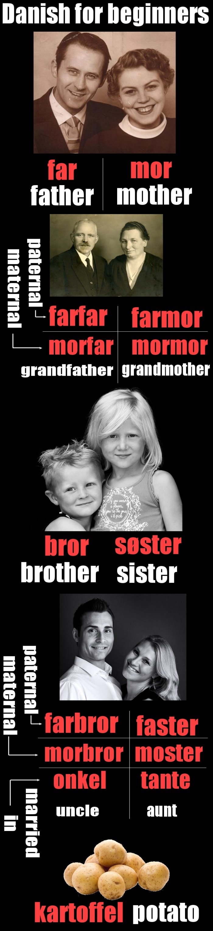 Danish for beginners