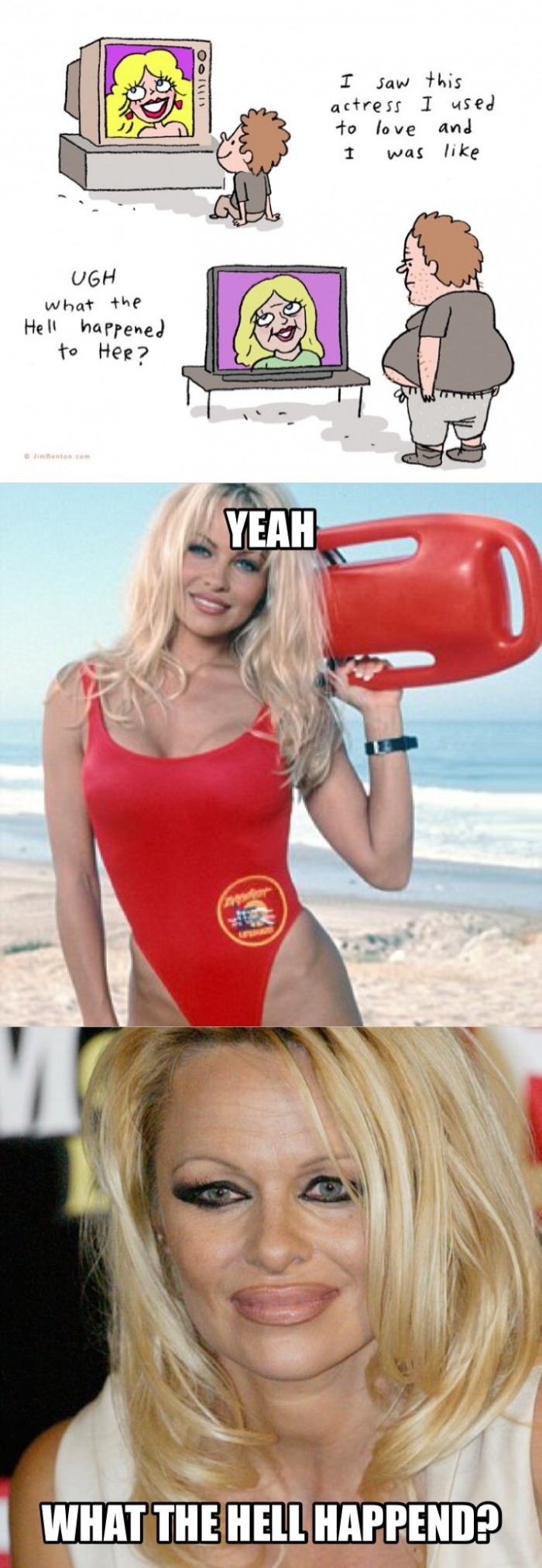 Wtf happened Pamela??