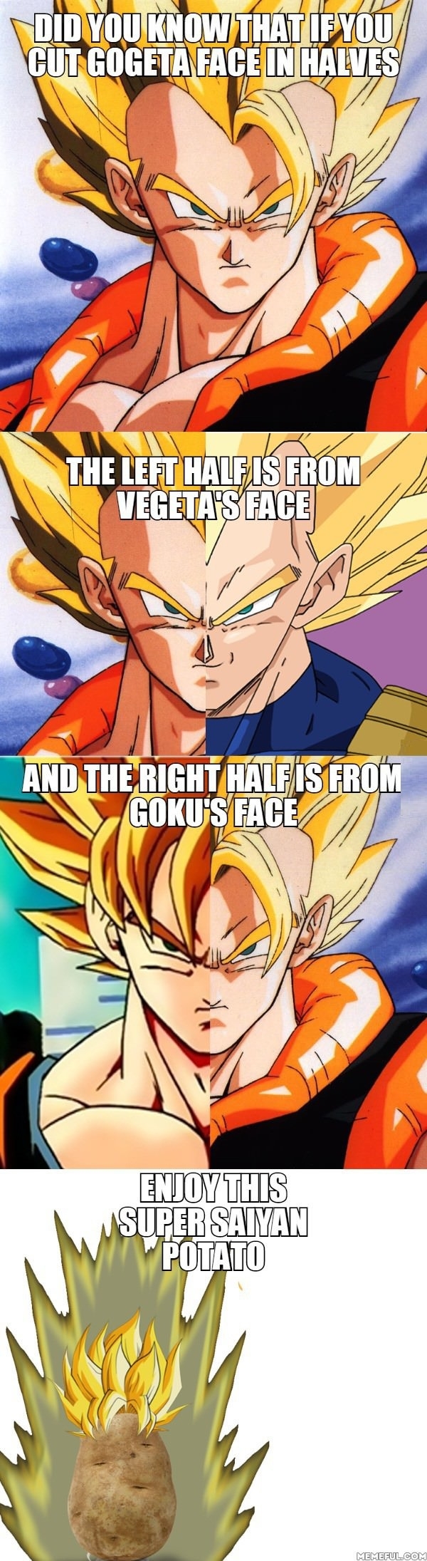 Dragon Ball Z fact