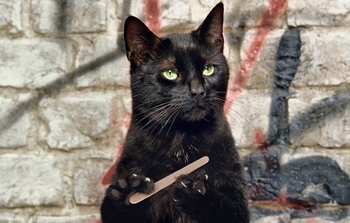 Fascinating.. Continue.