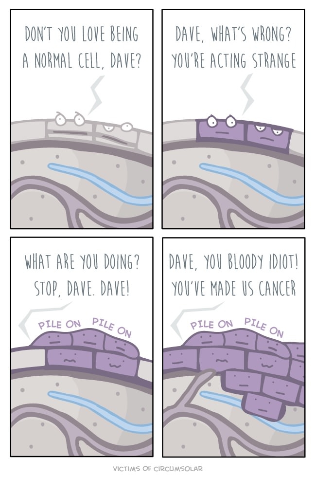 A normal cell