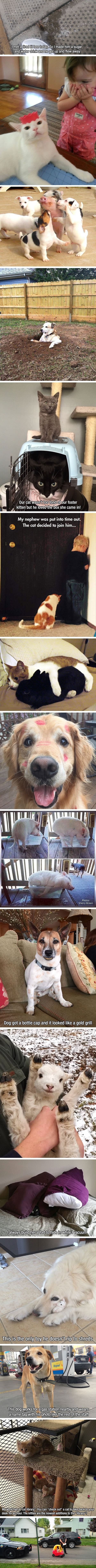 This will make you smile