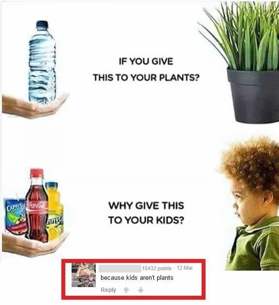 Plants and kids