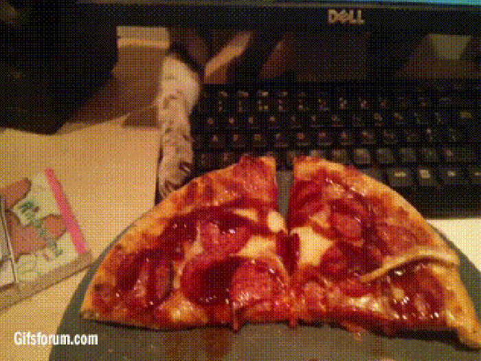 Cat stealing pizza