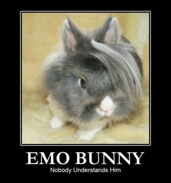 Emo bunny