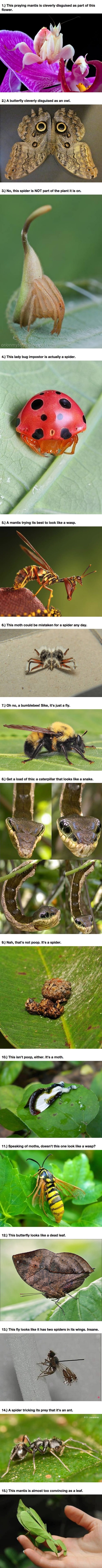 Natural defenses