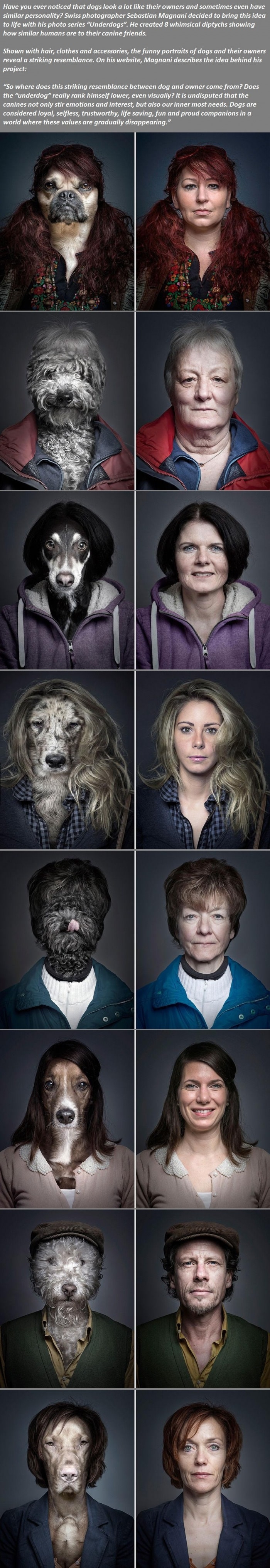 Dogs dressed like their owners
