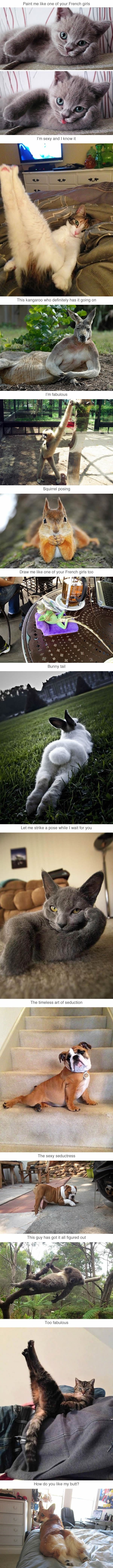 Animals posing like pros