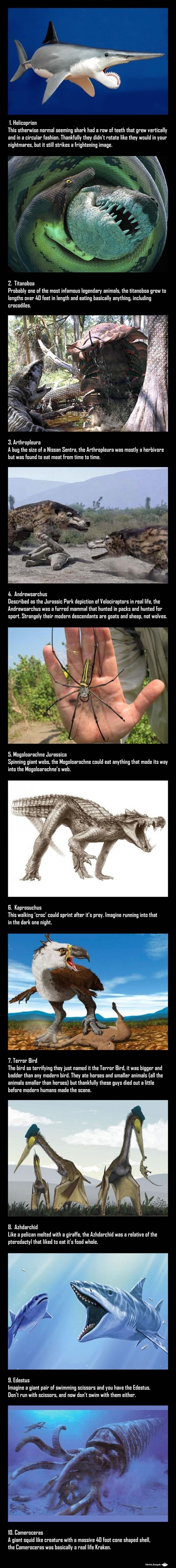 Extinct animals part 1