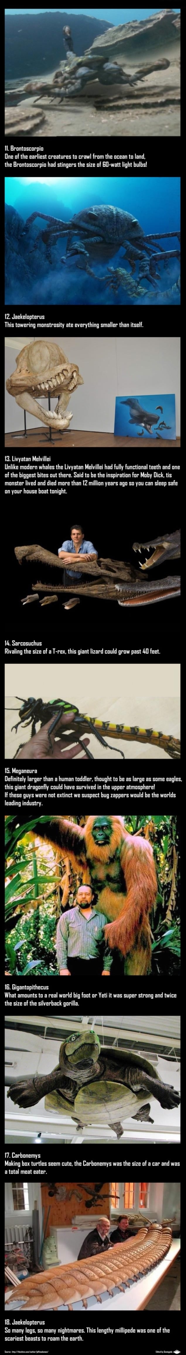 Extinct animals part 2