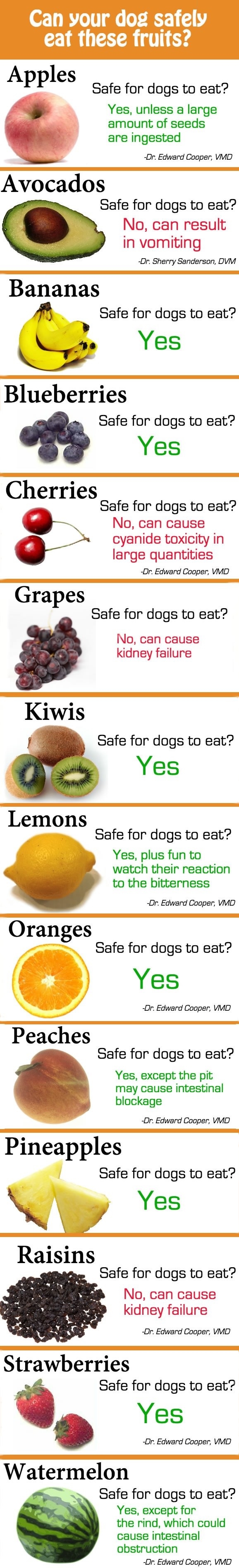 Can your dog eat fruits?
