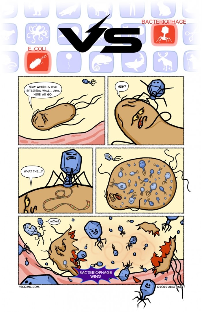 Biology in action