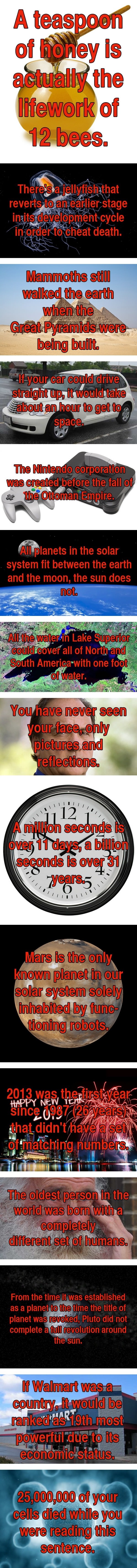 One sentence facts