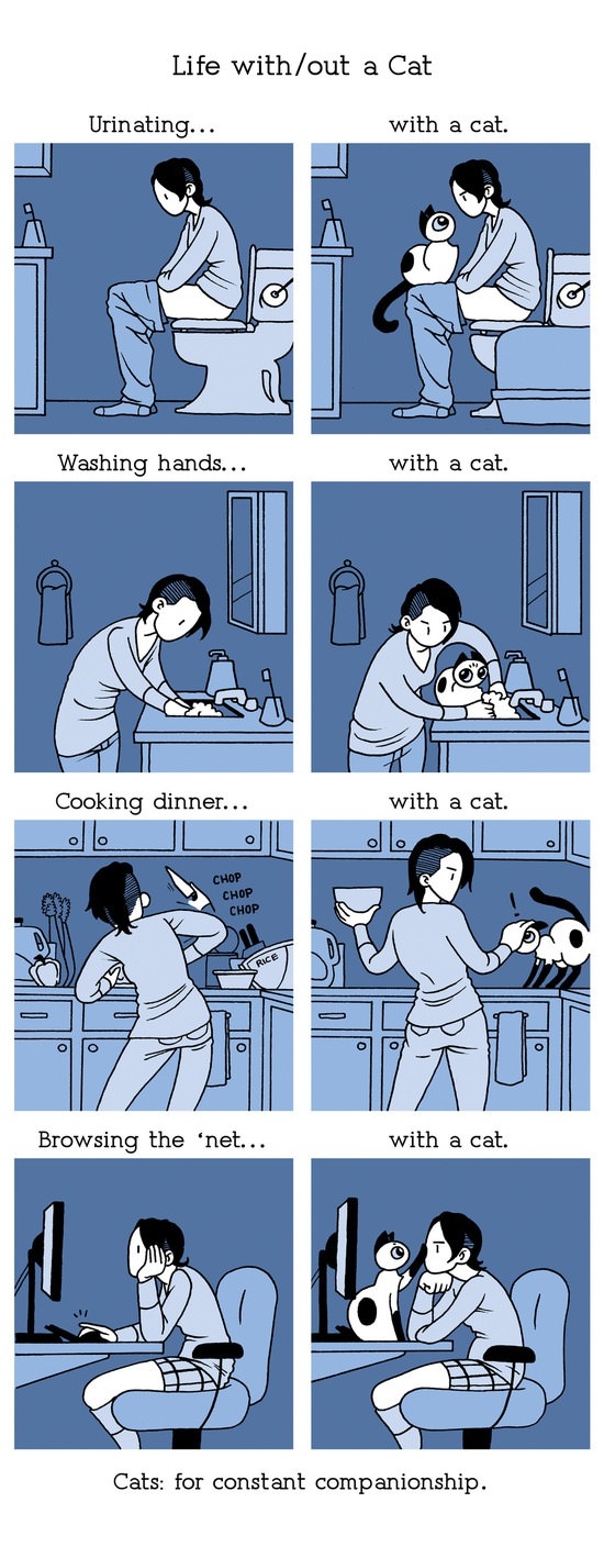 Constant companionship