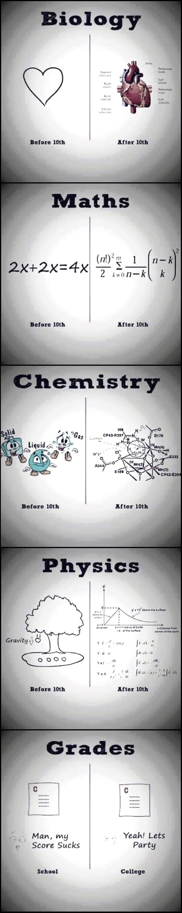School and college