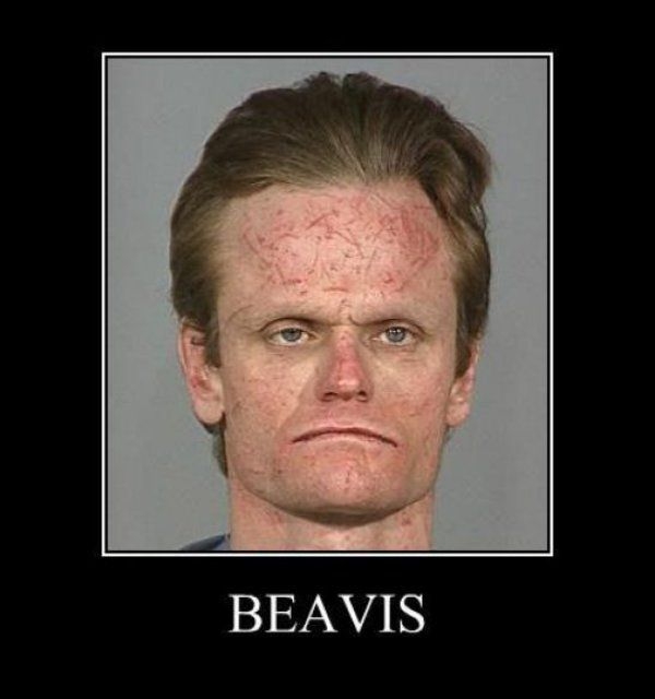 Beavis