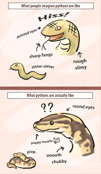 Snakes are adorable