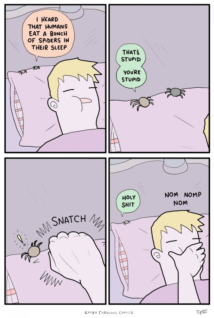Spiders in your sleep