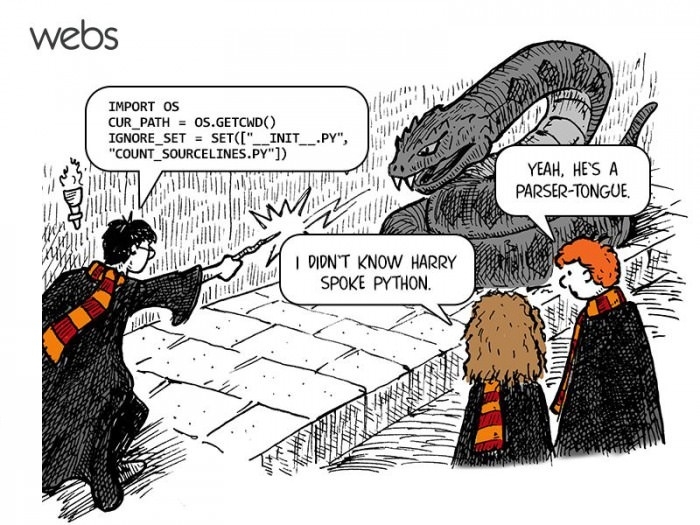 For all you programmers