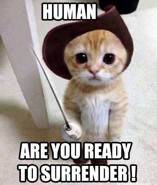 Surrender please..