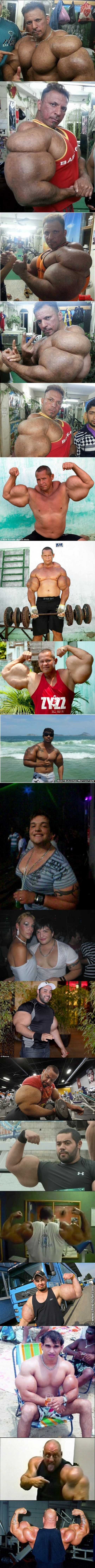 Synthol + Ego =