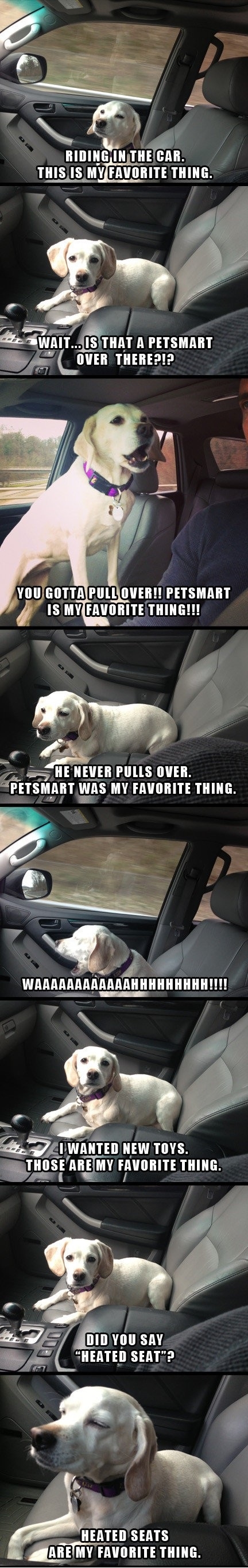The look of satisfaction