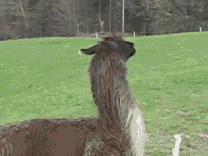Nope! Can't deal with it!