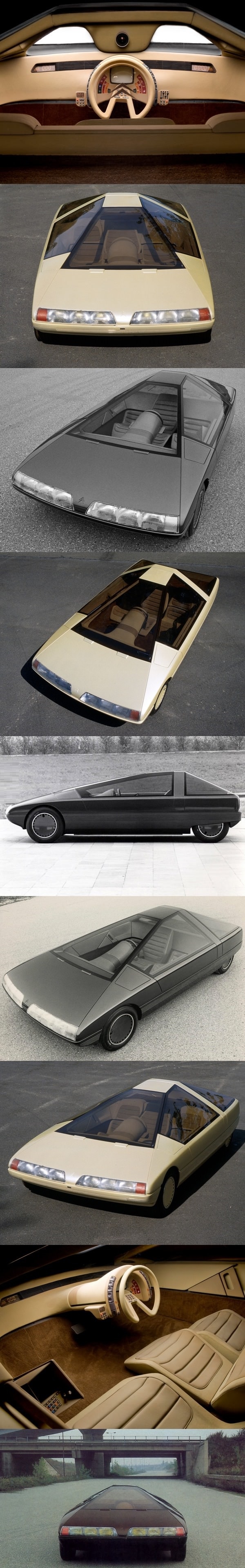 The 1980 Citroen Karin